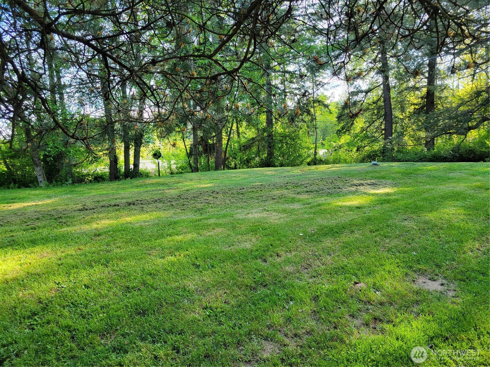 3824 Birch Bay-lynden Road Property Photo 28