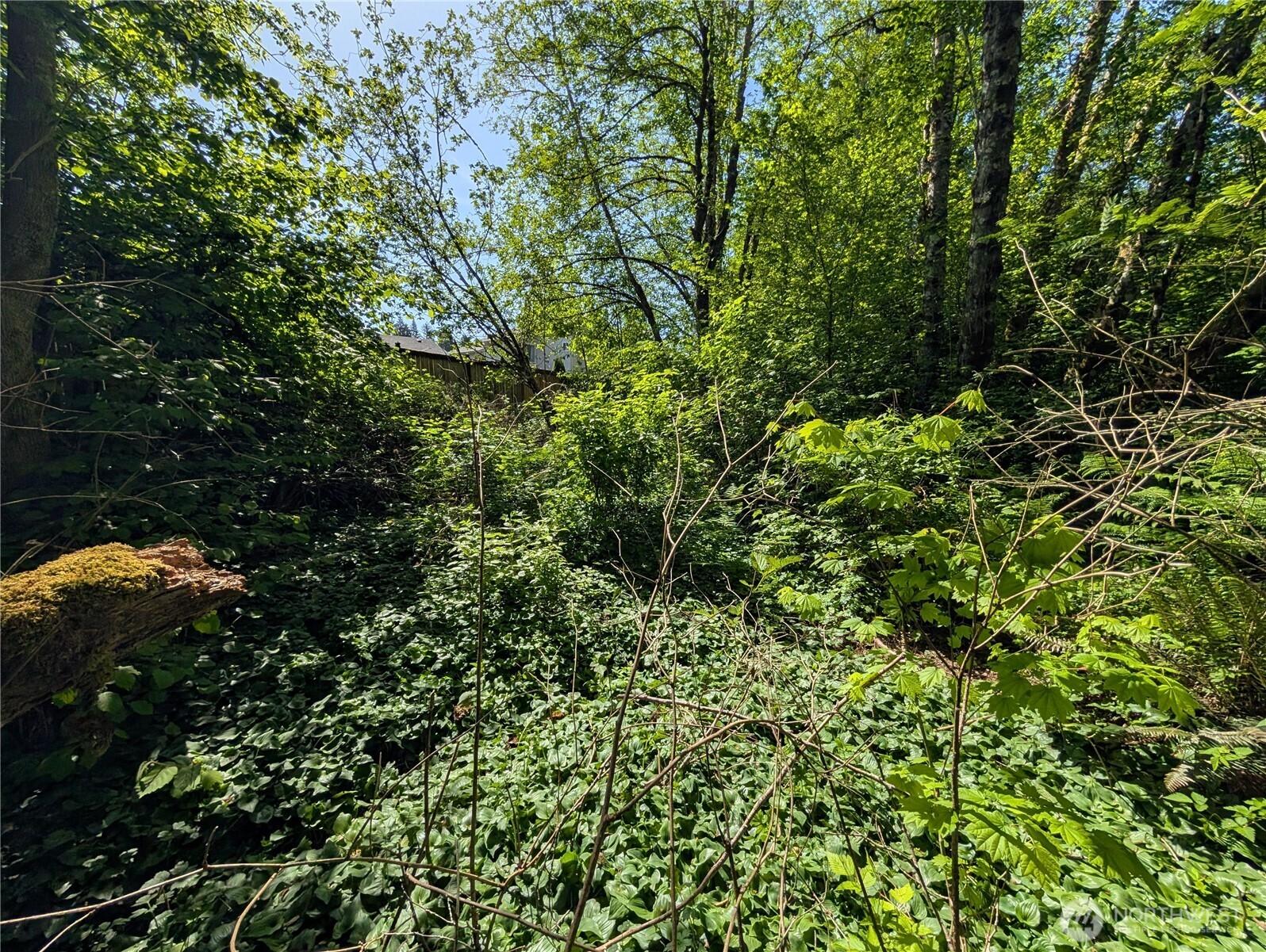 0 Xxx Trosper Road Property Photo 11