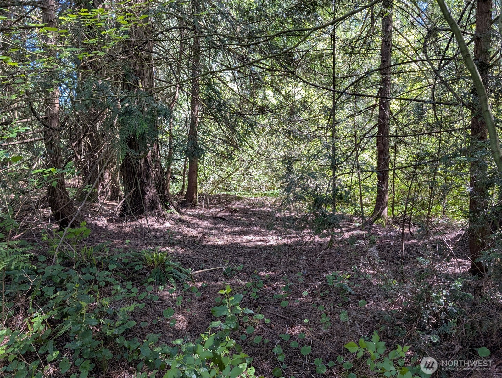0 Xxx Trosper Road Property Photo 14