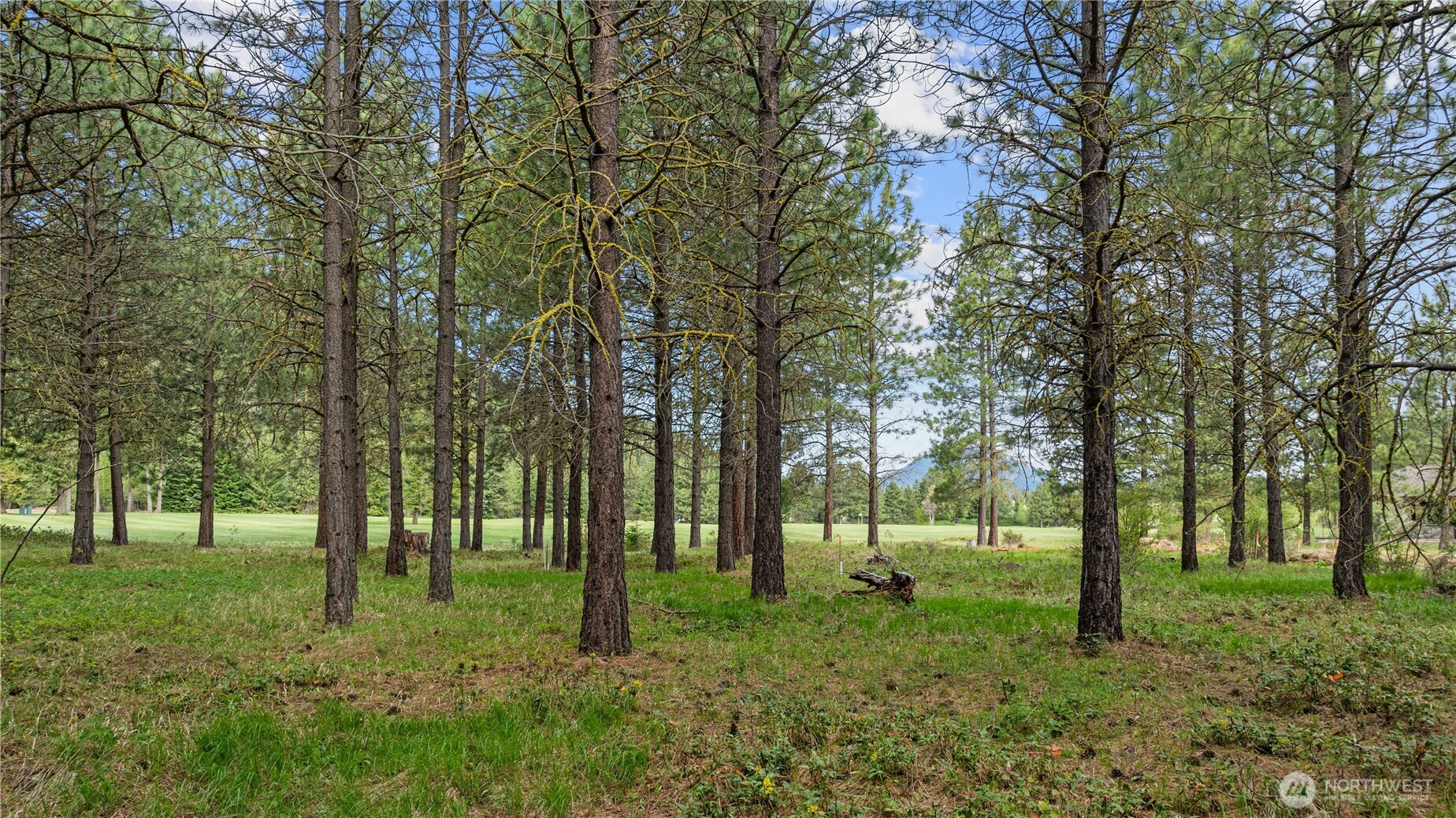 1950 Ruby King Loop Property Photo 1