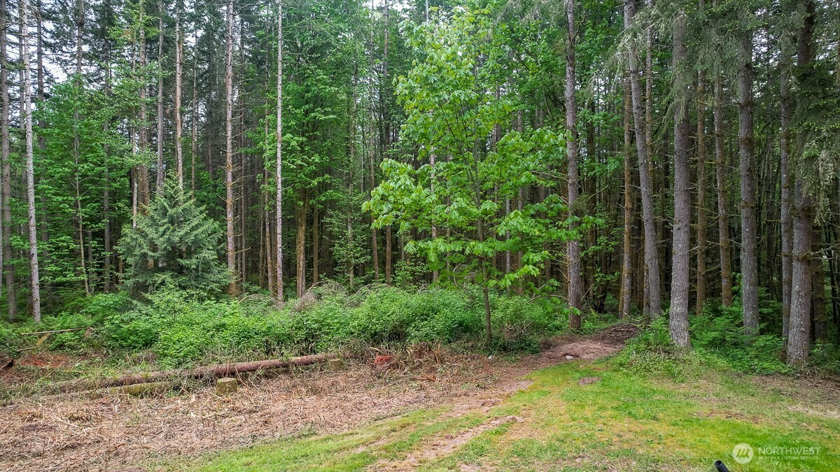 3804 129th Place Property Photo 8
