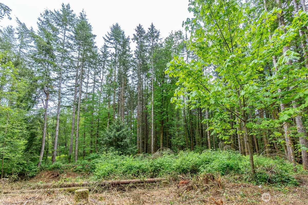 3804 129th Place Property Photo 10