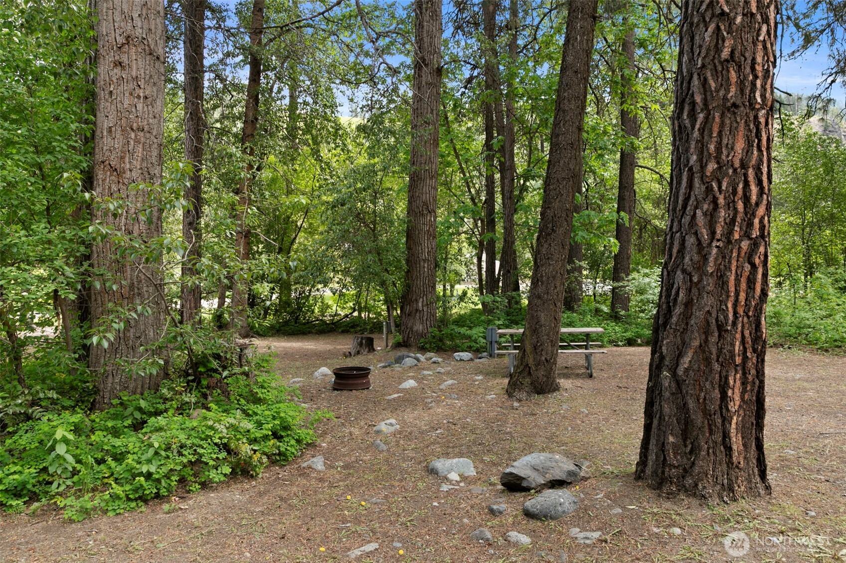 3300 Us Hwy 97 Property Photo 21
