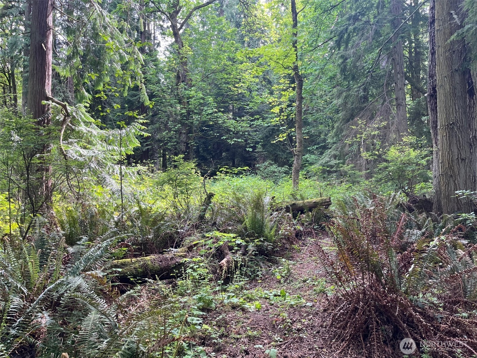 32428 Hoffman Road Property Photo