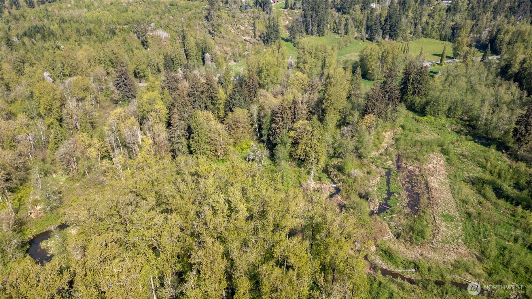 0 Mt Baker Highway Property Photo 5
