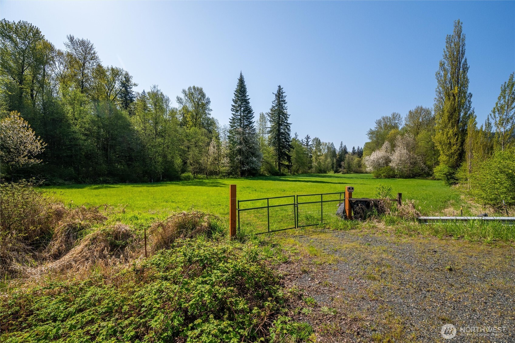 0 Mt Baker Highway Property Photo 10