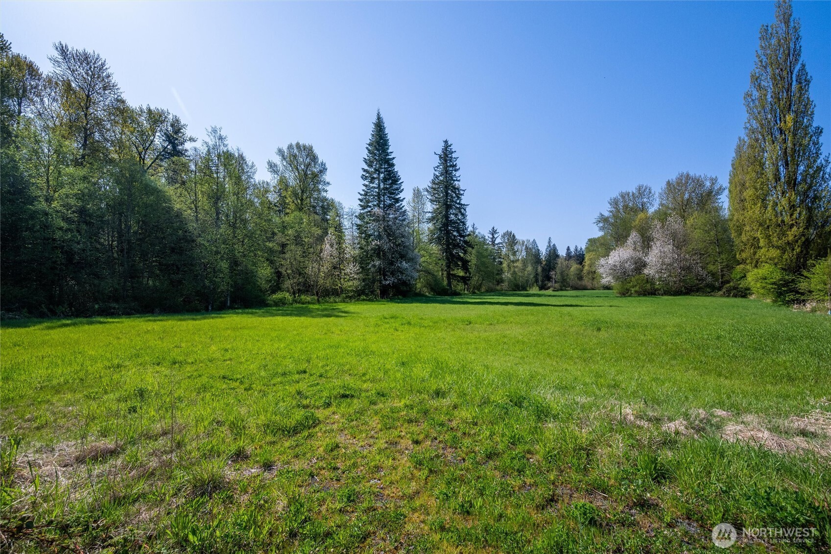 0 Mt Baker Highway Property Photo 11