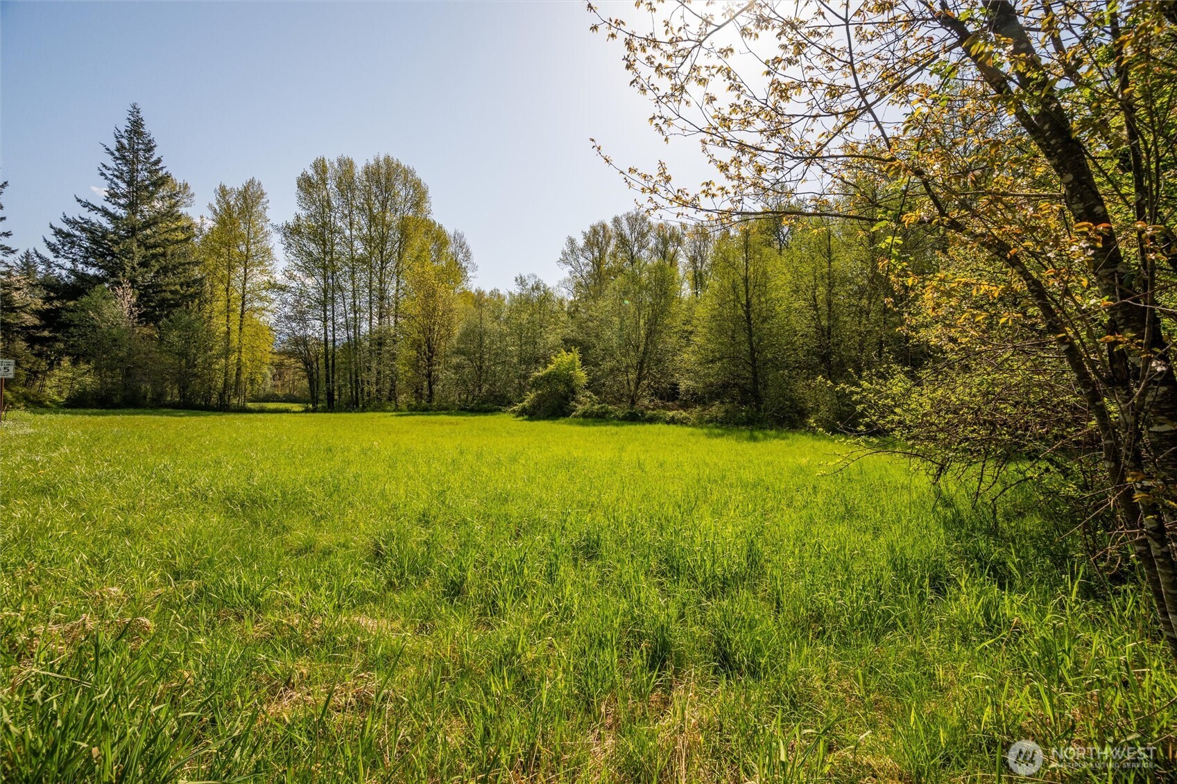 0 Mt Baker Highway Property Photo 13