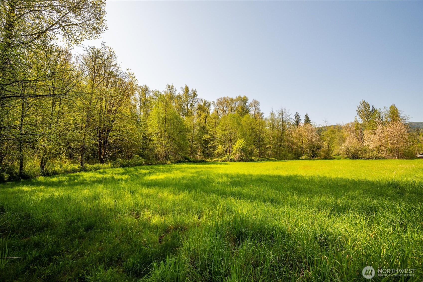 0 Mt Baker Highway Property Photo 14