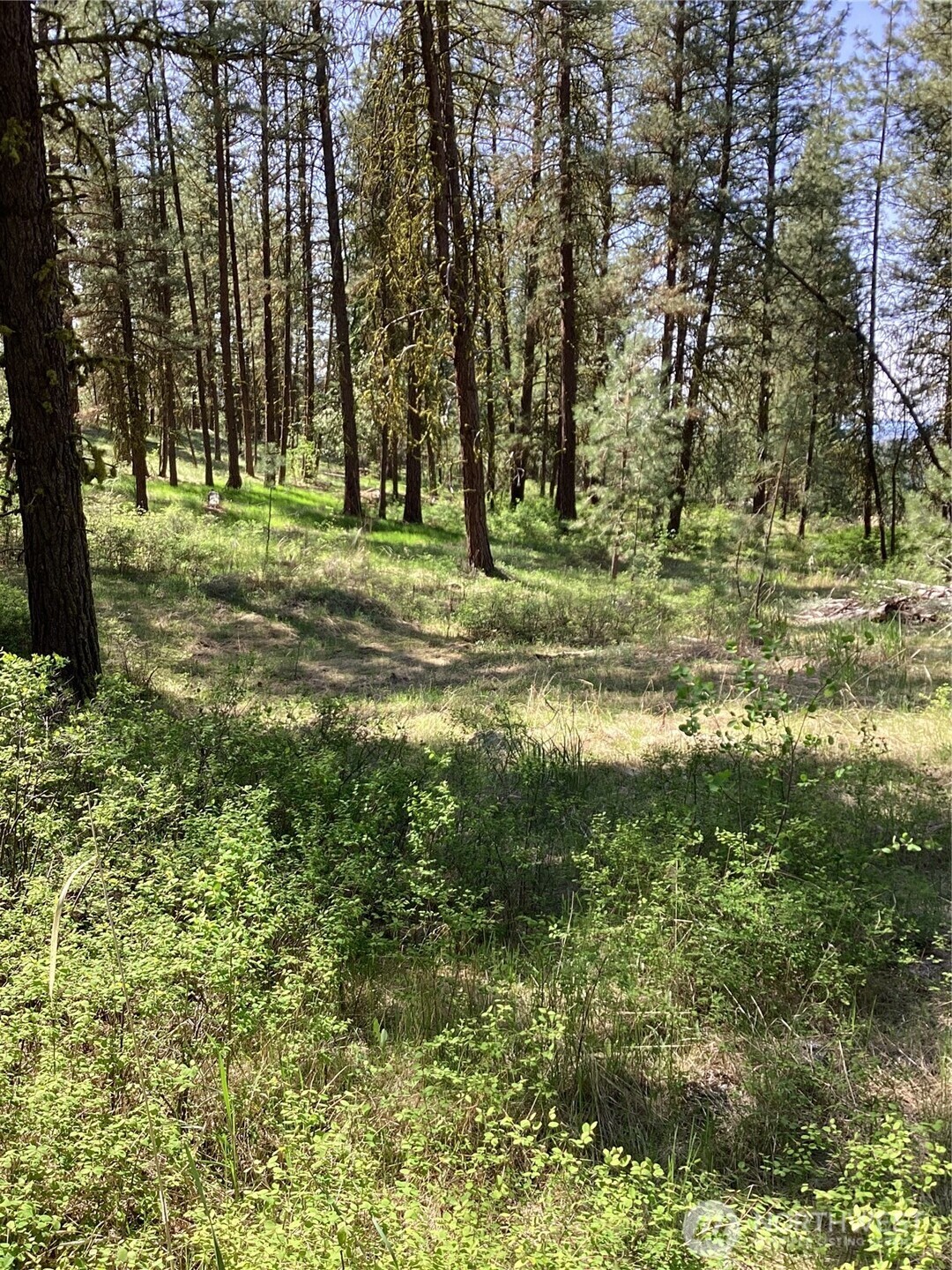 19 Lot, Doe Lane Property Photo