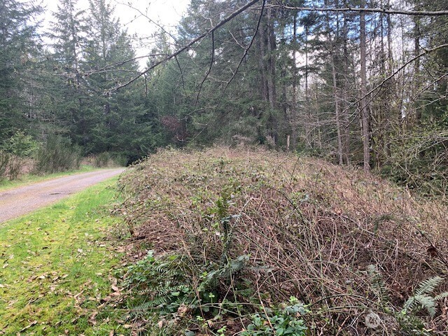4808 Sleepy Hollow Court Property Photo 1