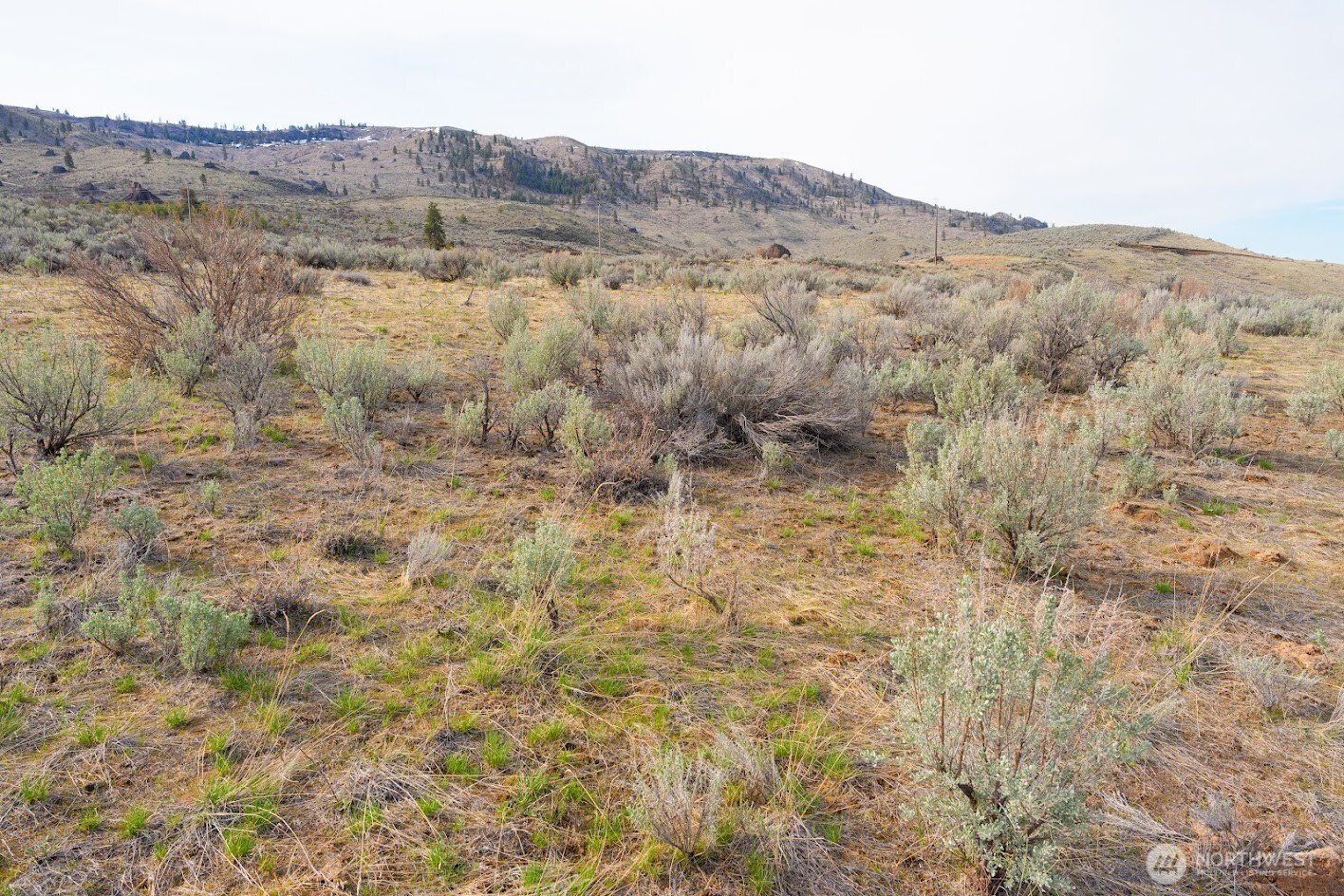 0 Parcel B Mcneil Canyon Rd Property Photo 10