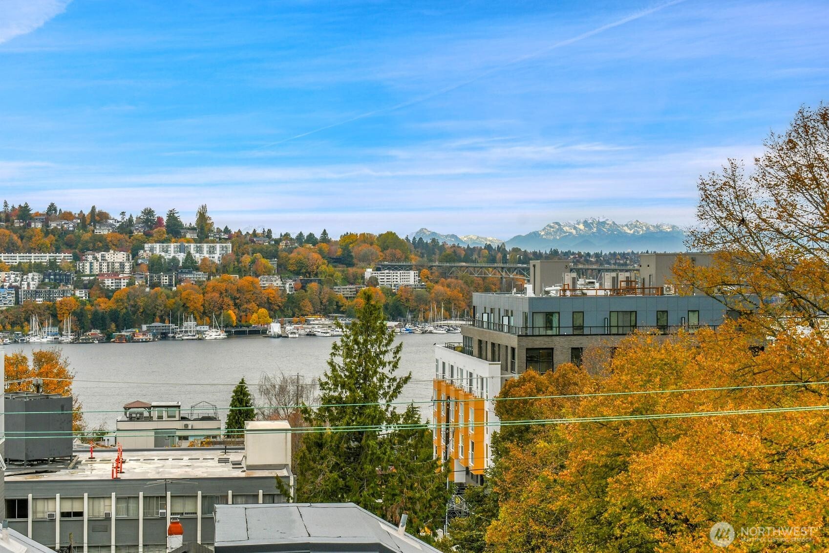 261 E Louisa Street Property Photo 18