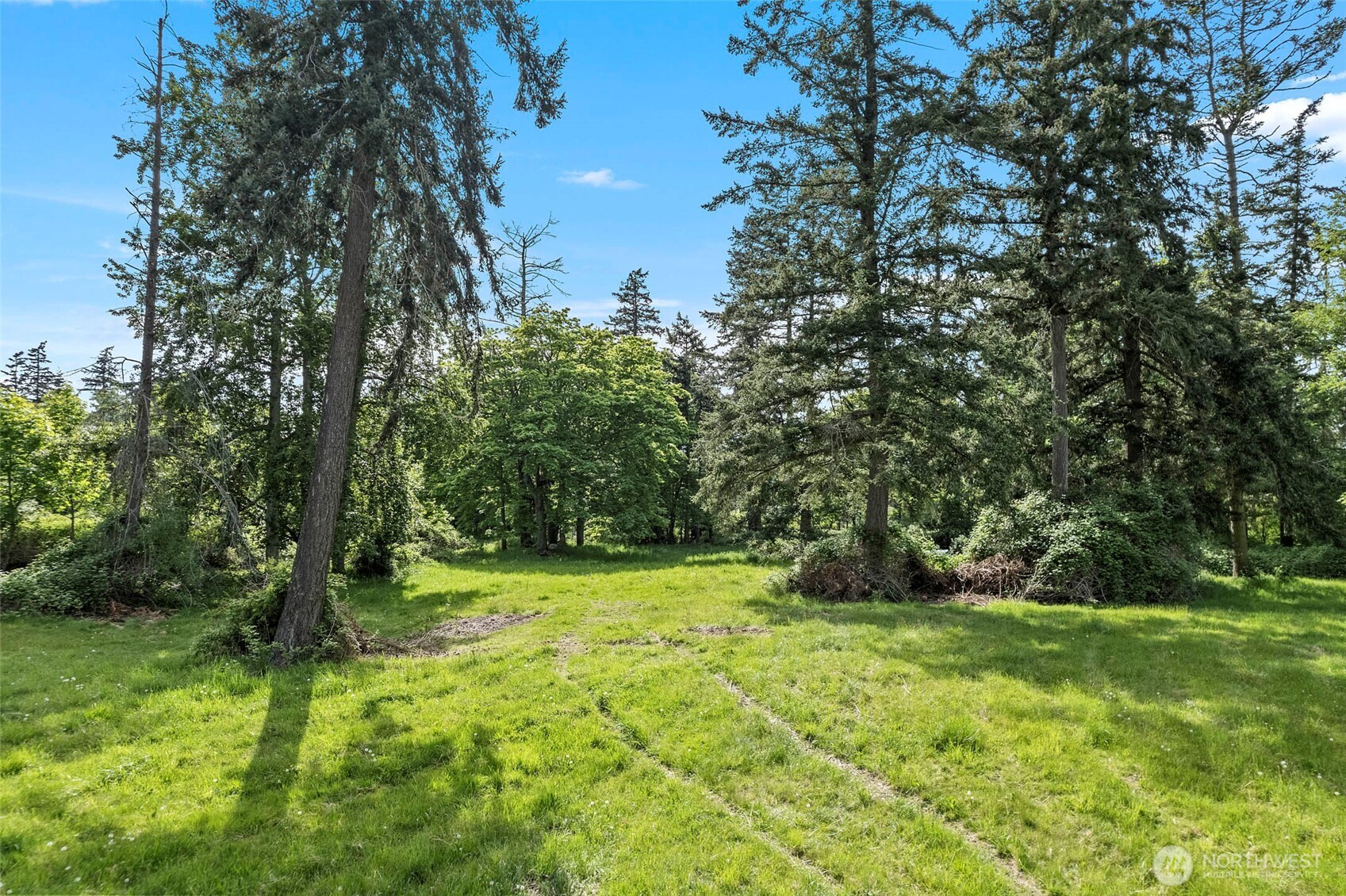 3109 Taylor Road Property Photo 29