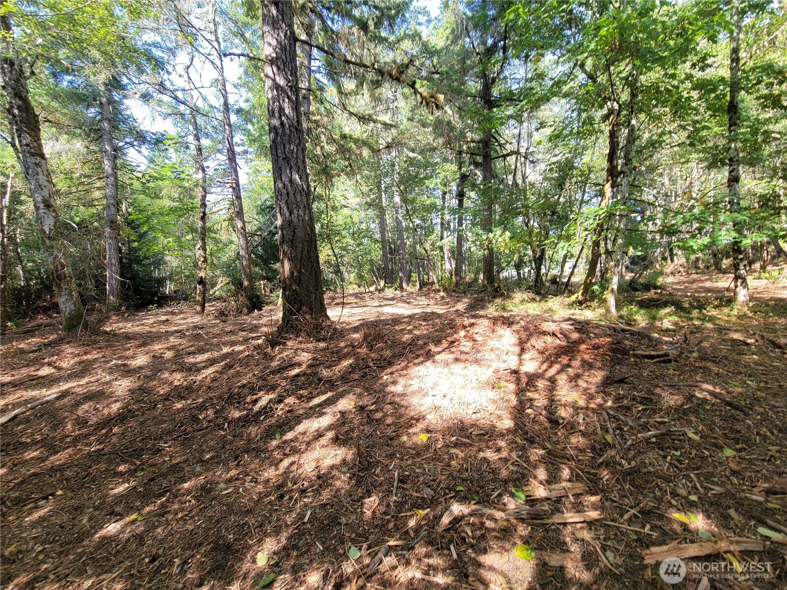 900 E Wilson Way Property Photo 3