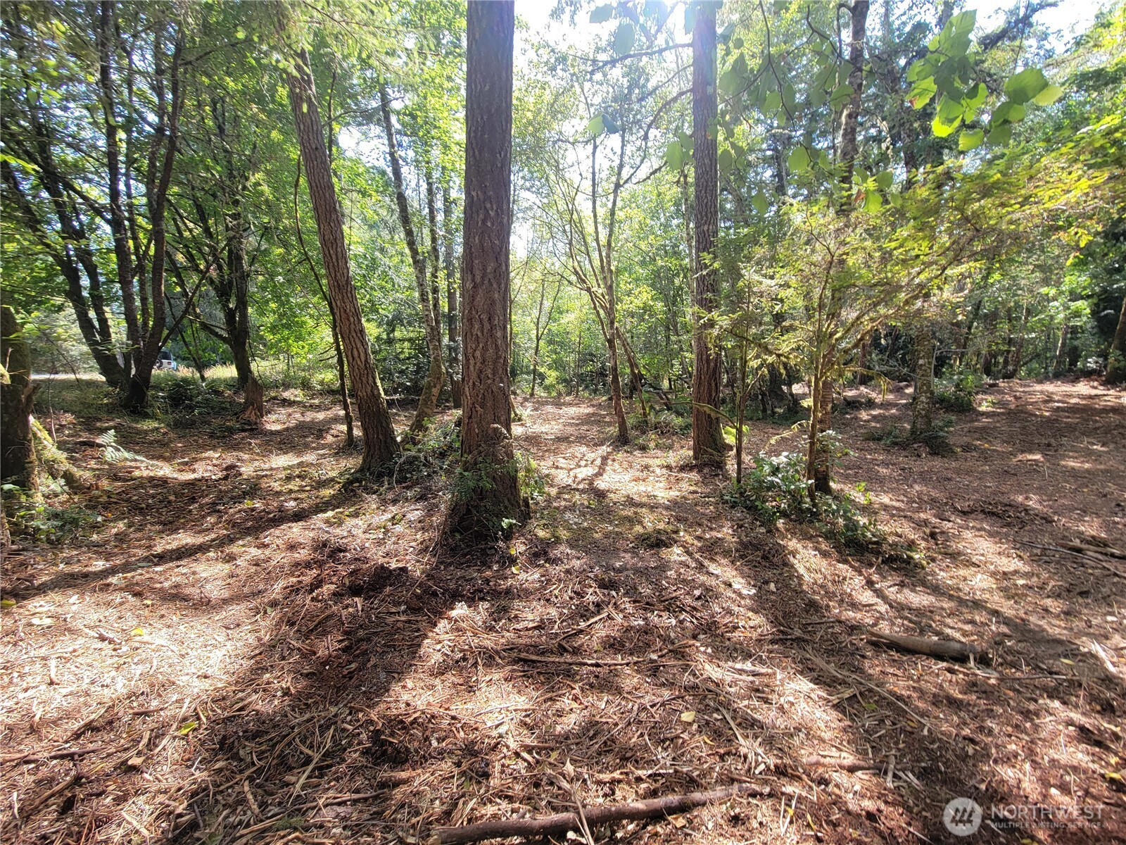 900 E Wilson Way Property Photo 7