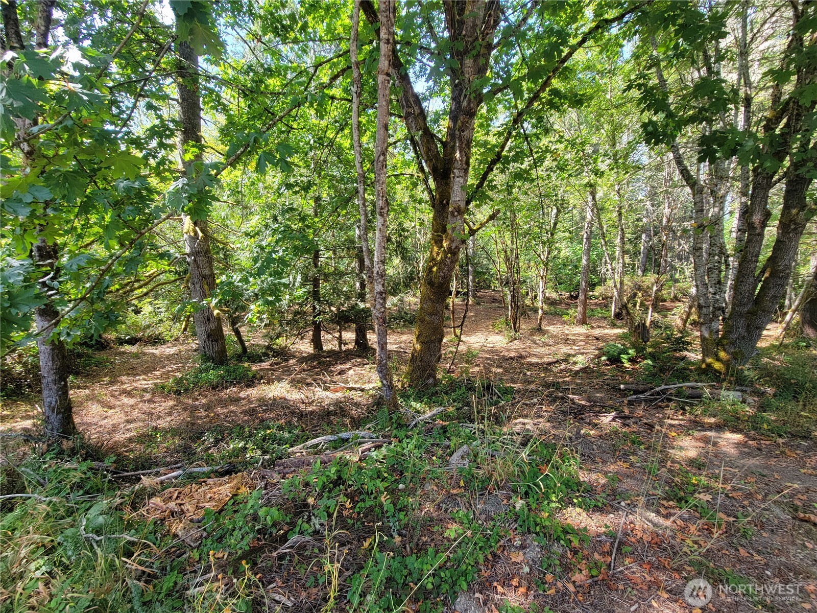 900 E Wilson Way Property Photo 11