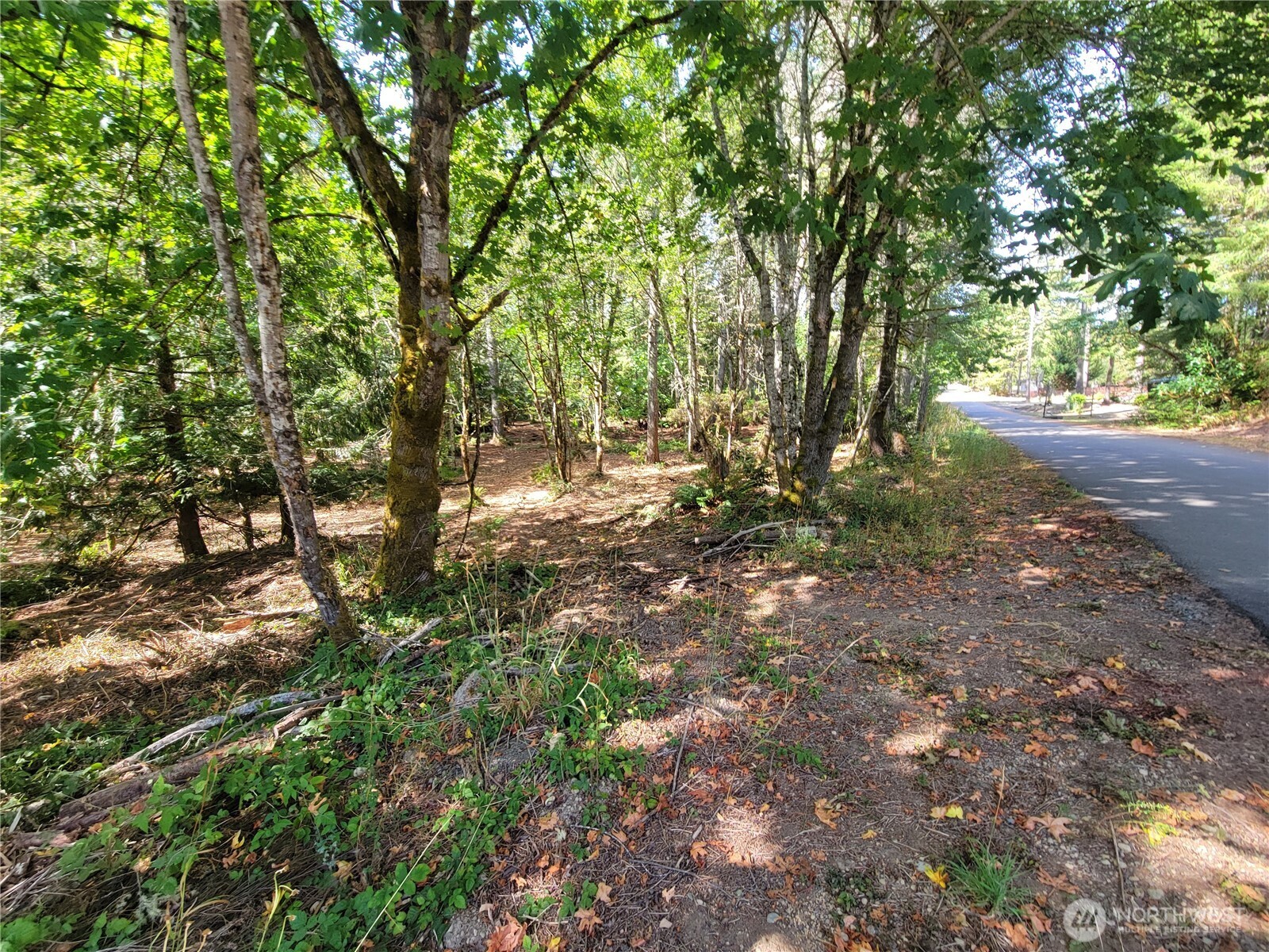 900 E Wilson Way Property Photo 12
