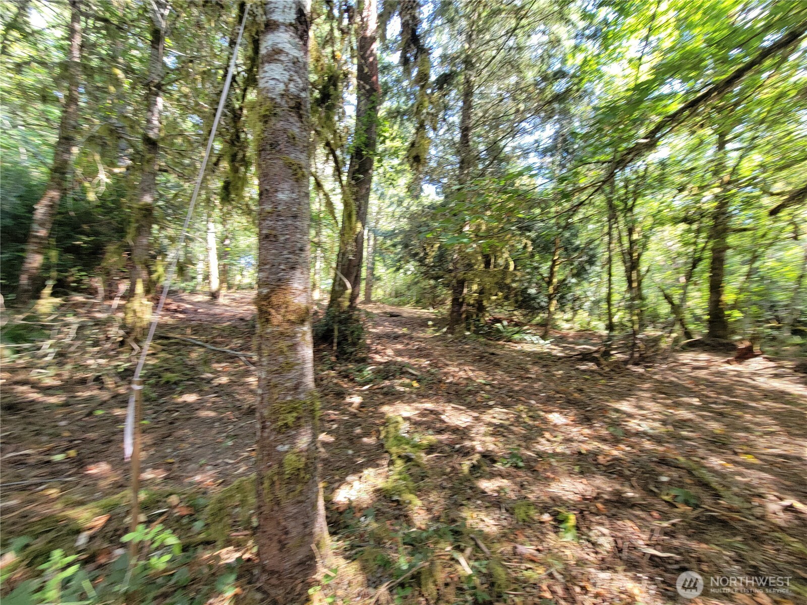 900 E Wilson Way Property Photo 20