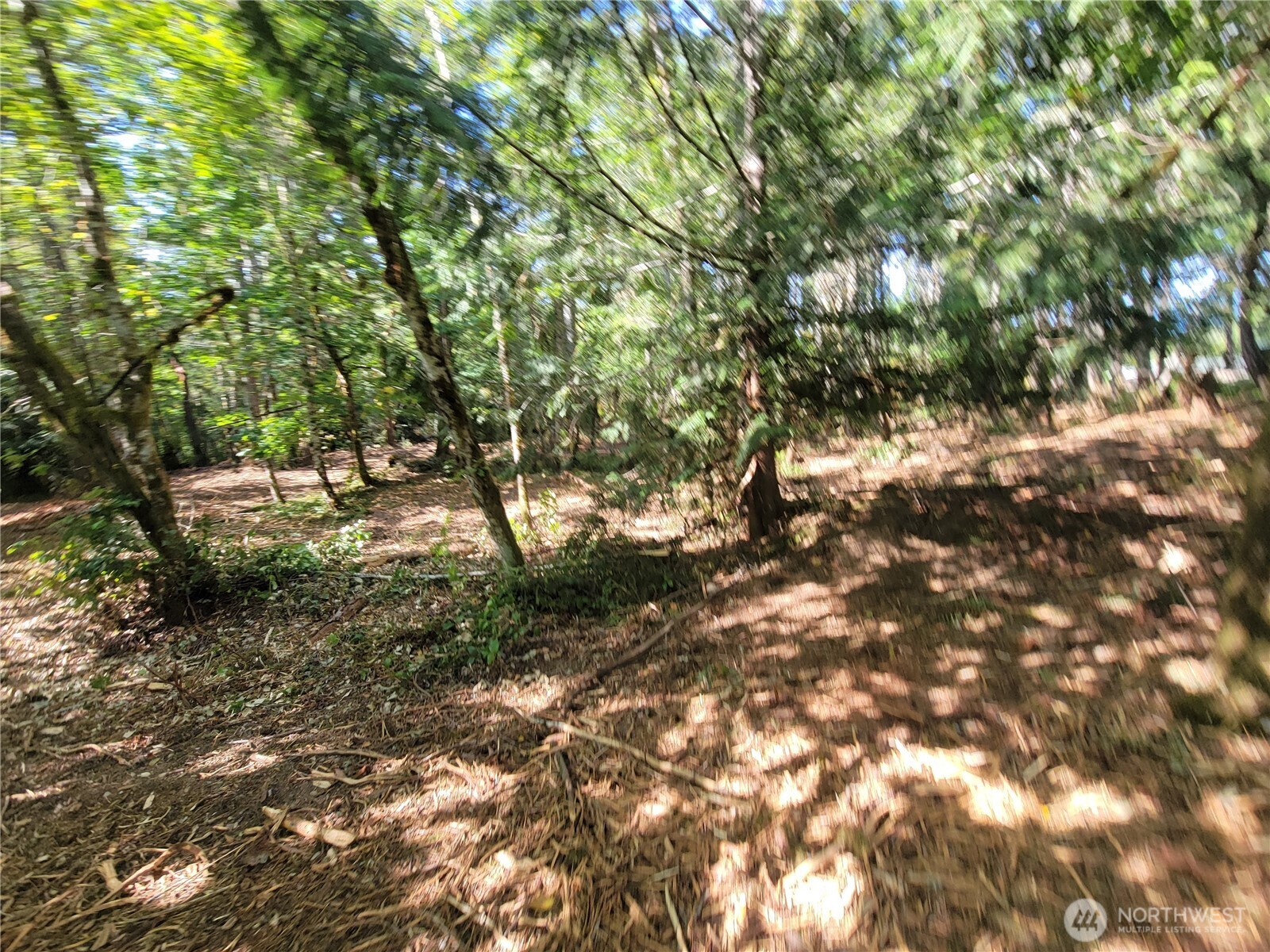 900 E Wilson Way Property Photo 21