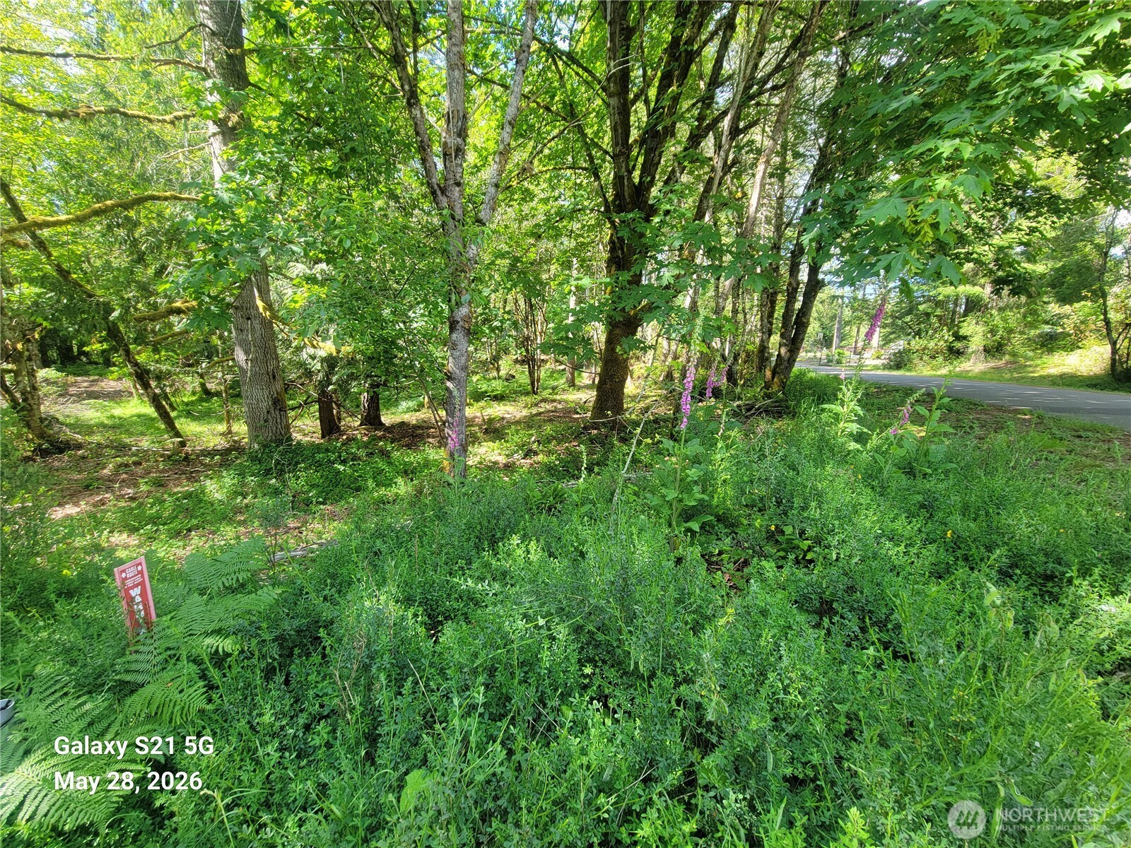 900 E Wilson Way Property Photo 27