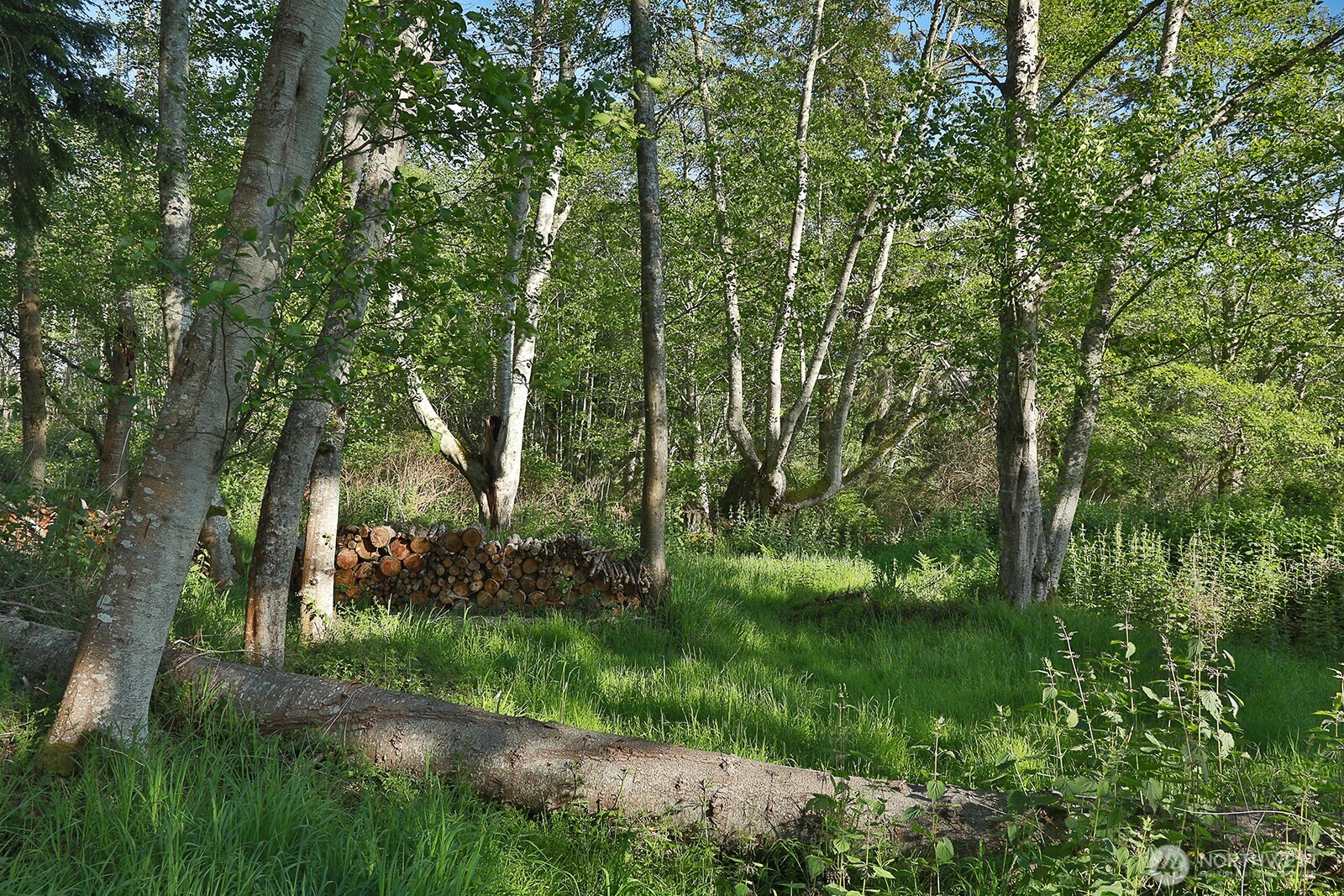 364 Gramayre Road Property Photo 9
