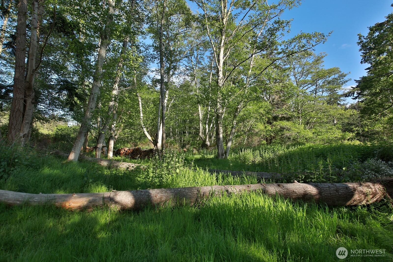 364 Gramayre Road Property Photo 10