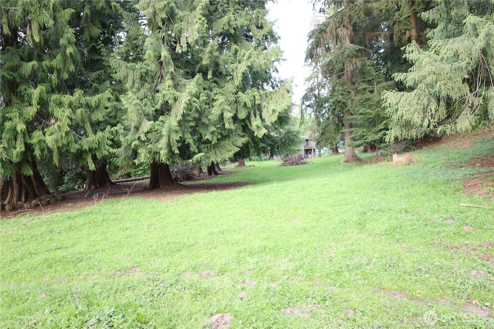 14325 243rd Avenue Property Photo 25