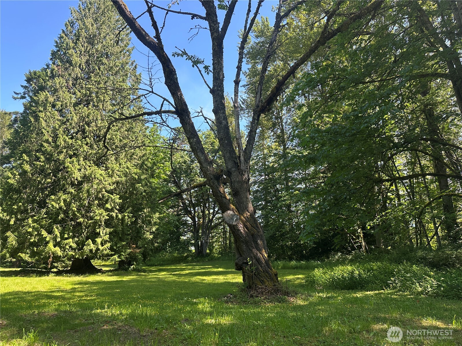3246 Goshen Road Property Photo 7
