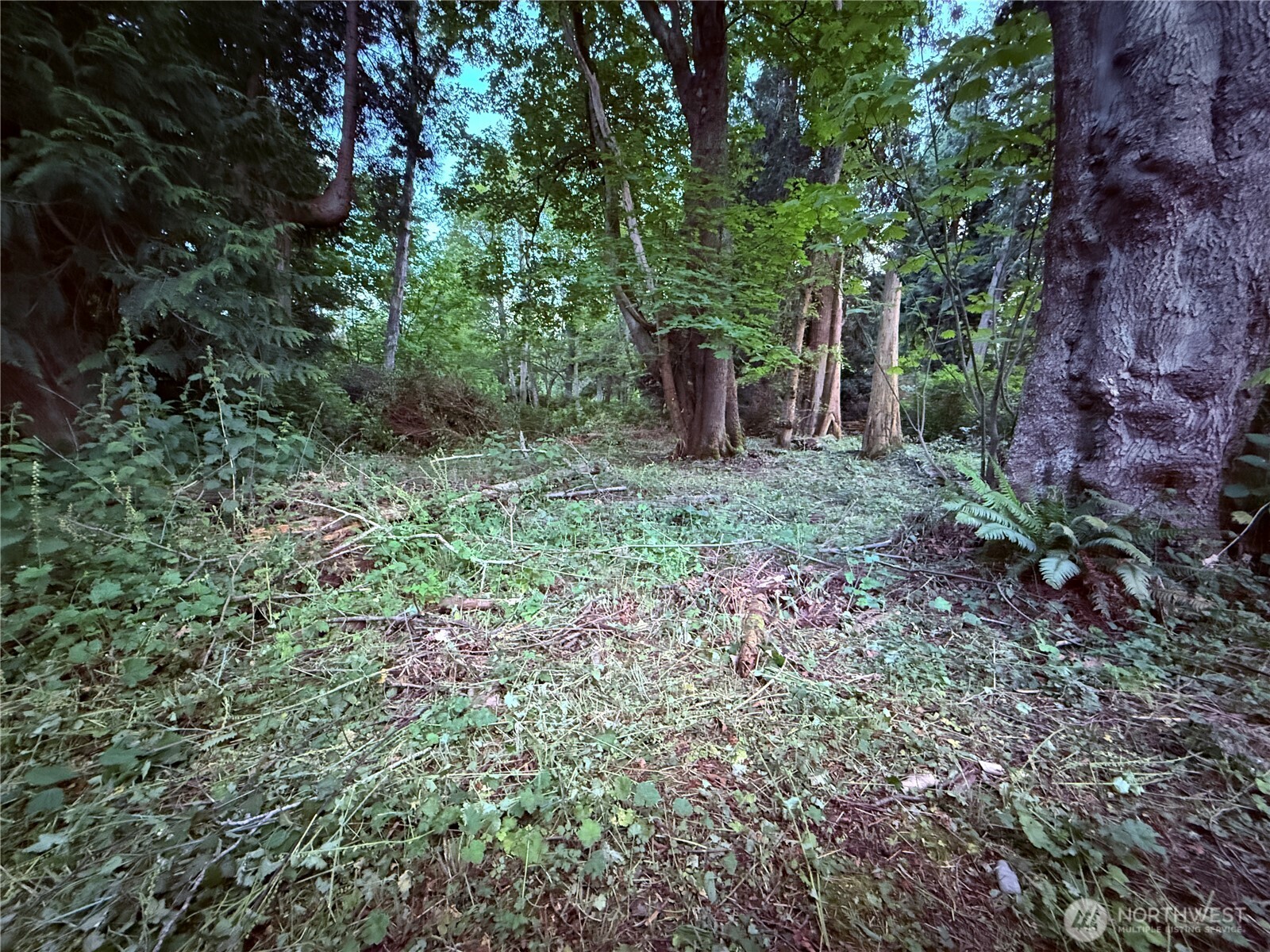 52 F Saratoga Drive Property Photo 3