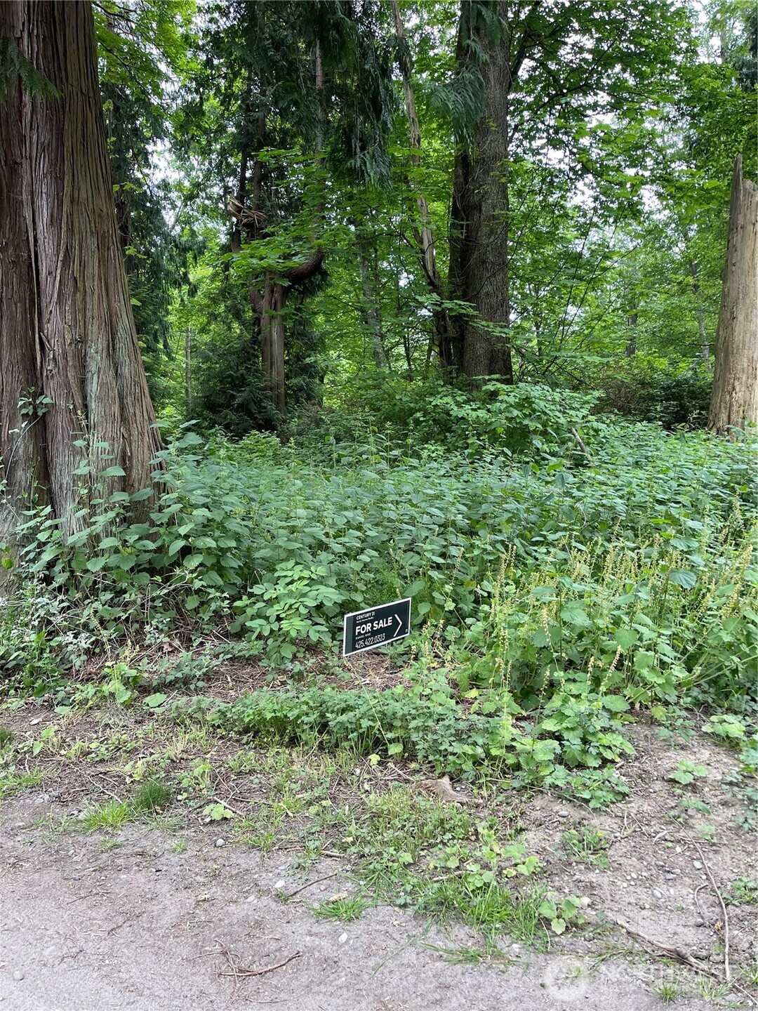 52 F Saratoga Drive Property Photo 8