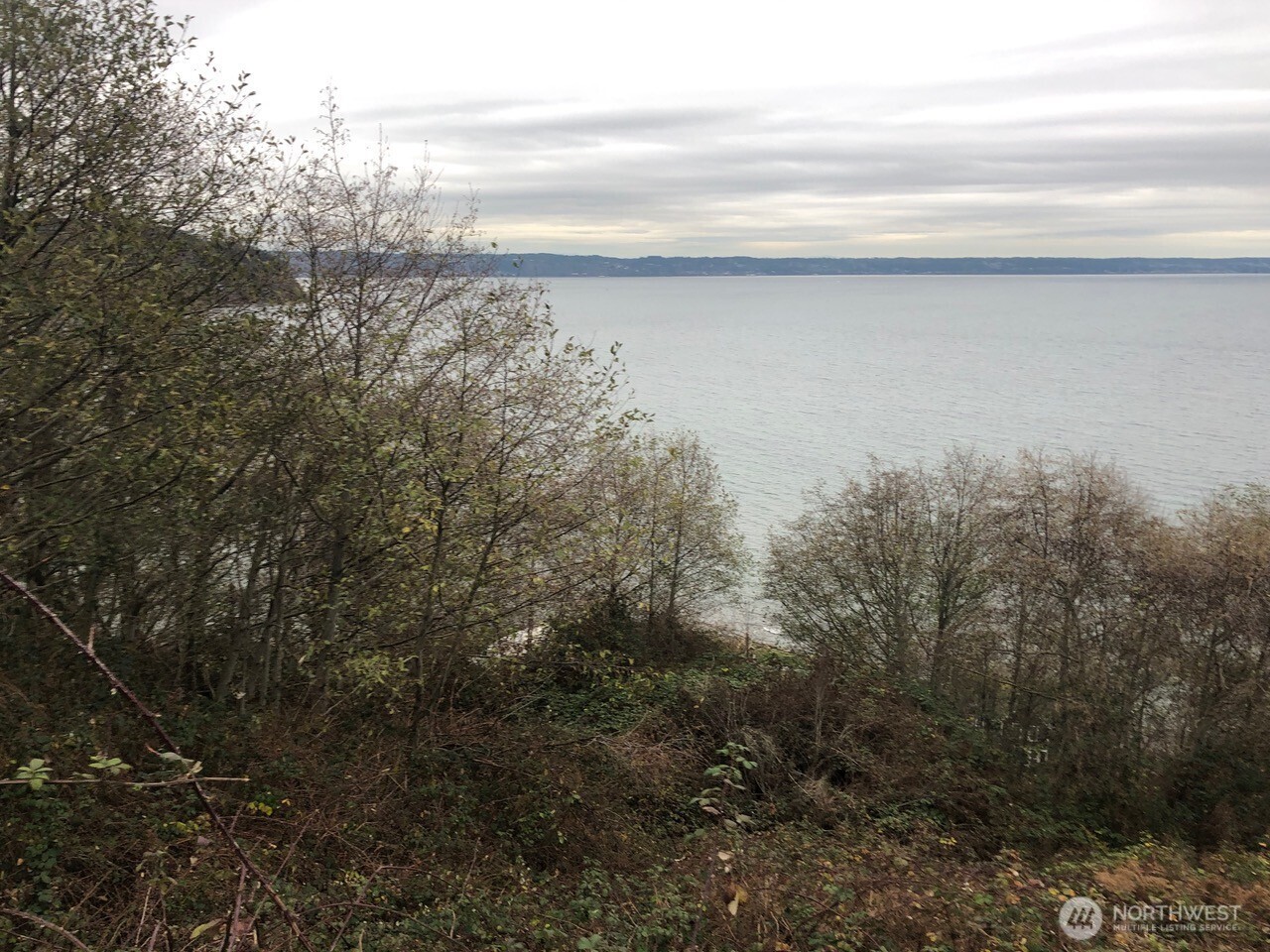 3711 Whales Tail Lane Property Photo