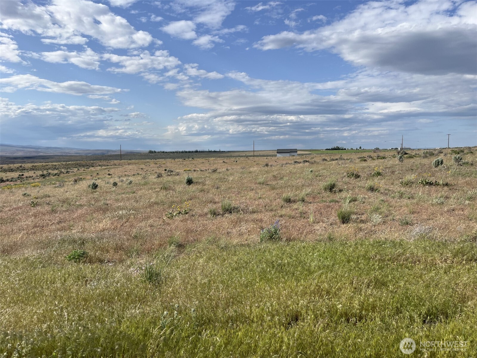 23289 Sw Sage Loop Property Photo 3