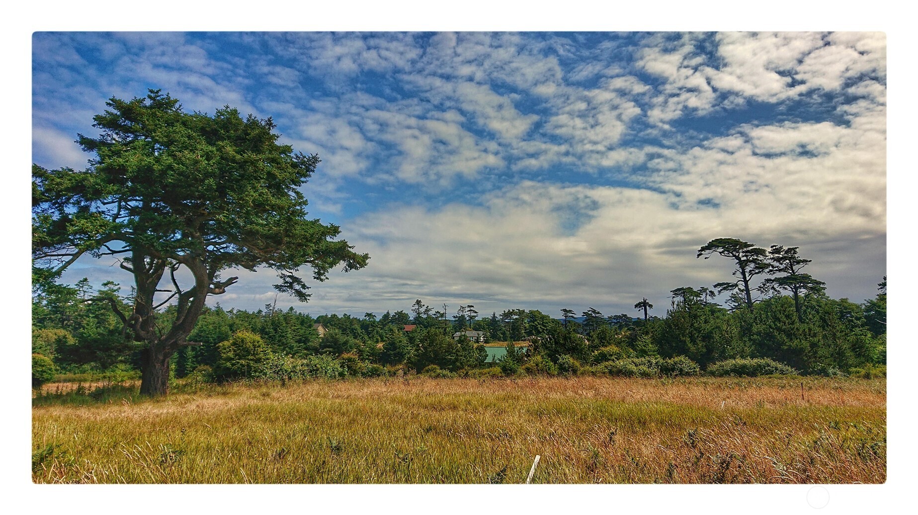 97 Meadow Lane Property Photo