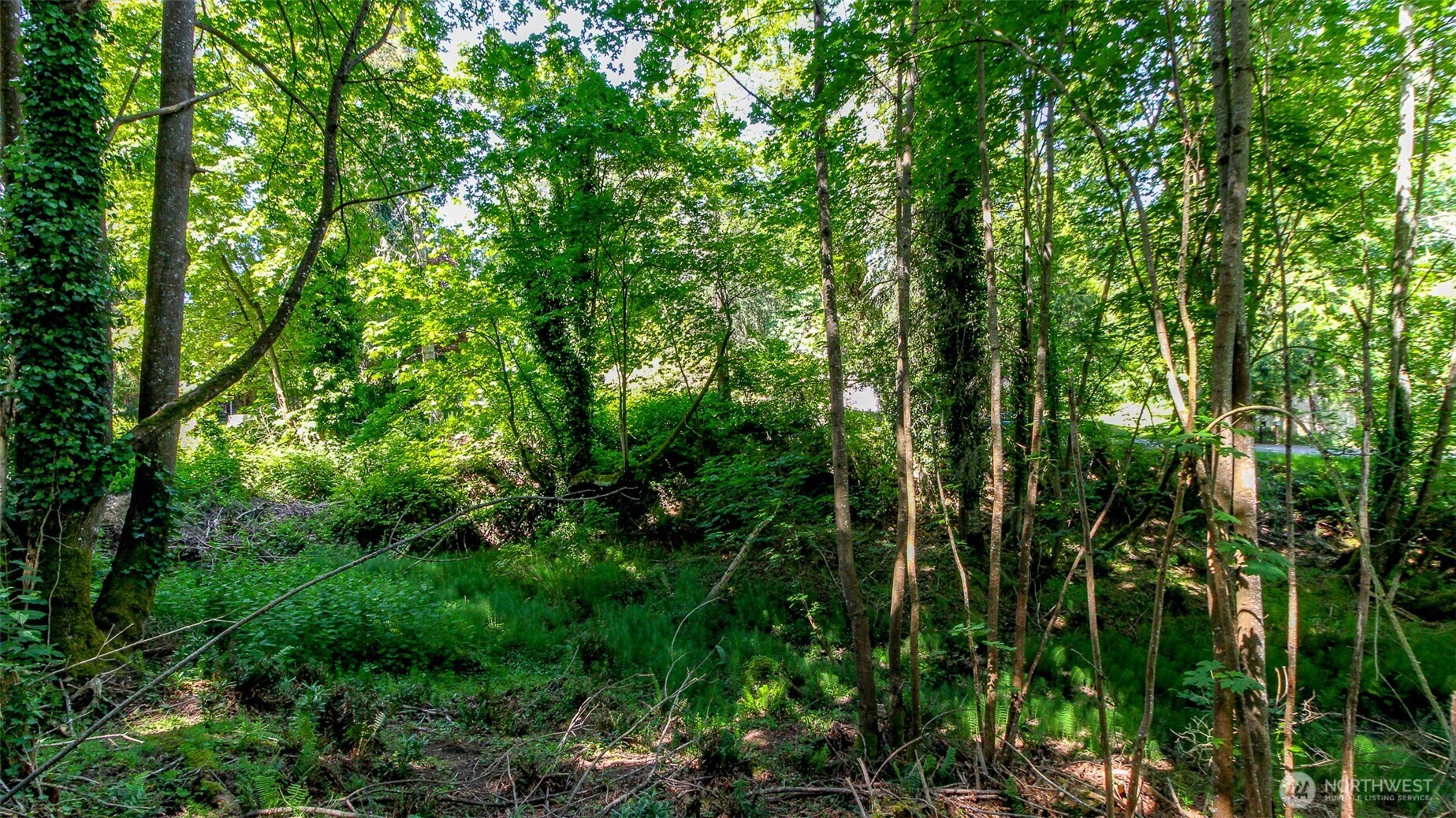 44 Raft Island Drive Property Photo 4