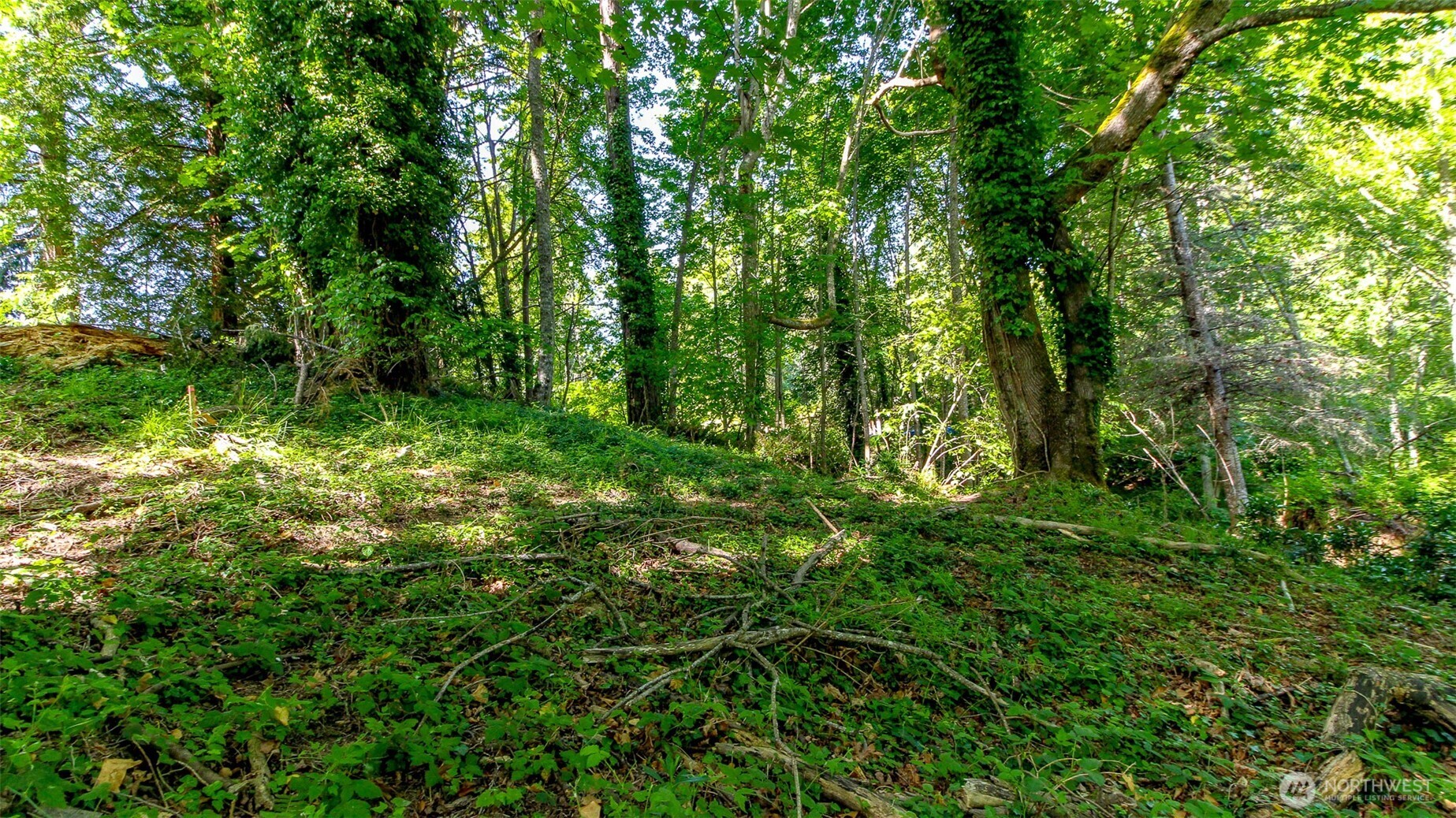 44 Raft Island Drive Property Photo 24