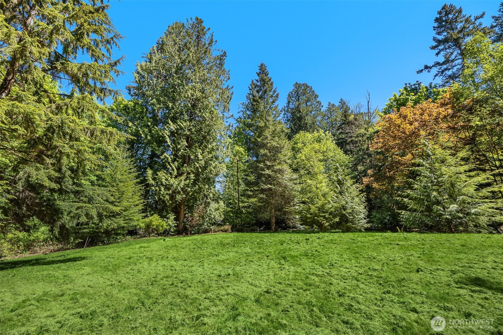 6075 Old Woods Lane Property Photo 1