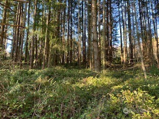 1 Huckleberry Lane Property Photo 8