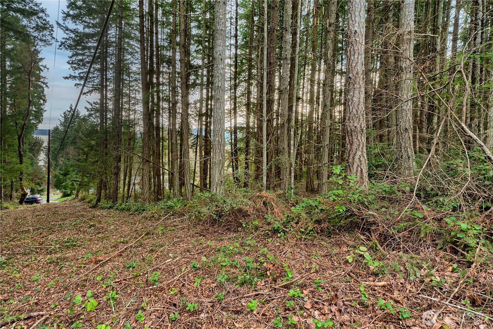 3 Huckleberry Lane Property Photo 2