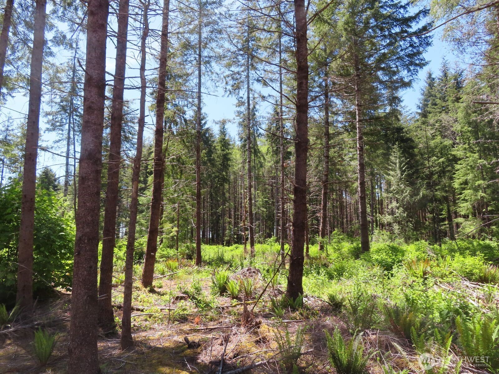 1515 Kirkpatrick Road Property Photo 2