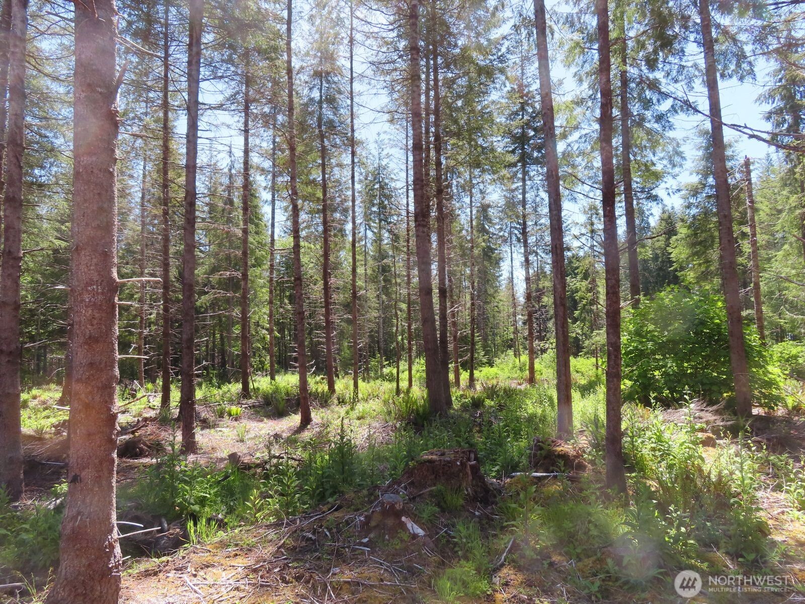 1515 Kirkpatrick Road Property Photo 3