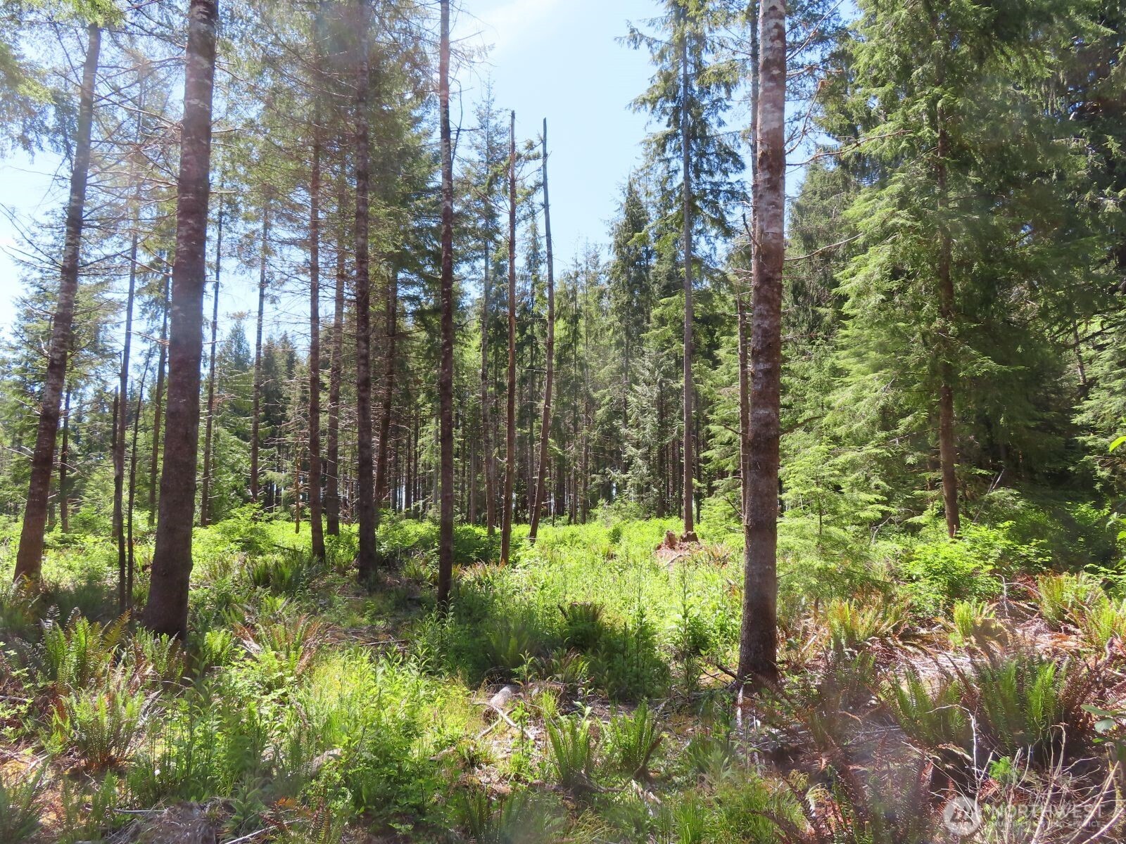 1515 Kirkpatrick Road Property Photo 5