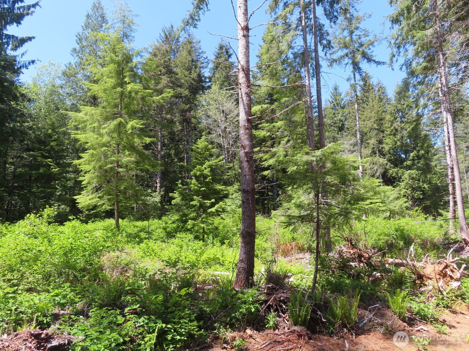 1515 Kirkpatrick Road Property Photo 7