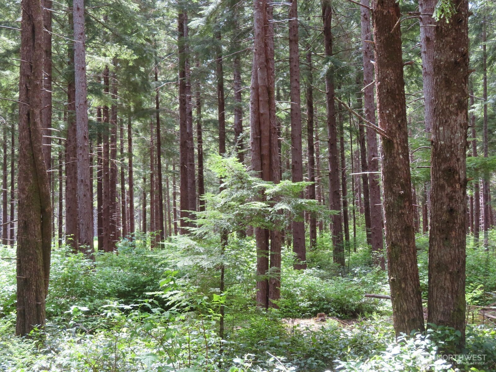 1515 Kirkpatrick Road Property Photo 11