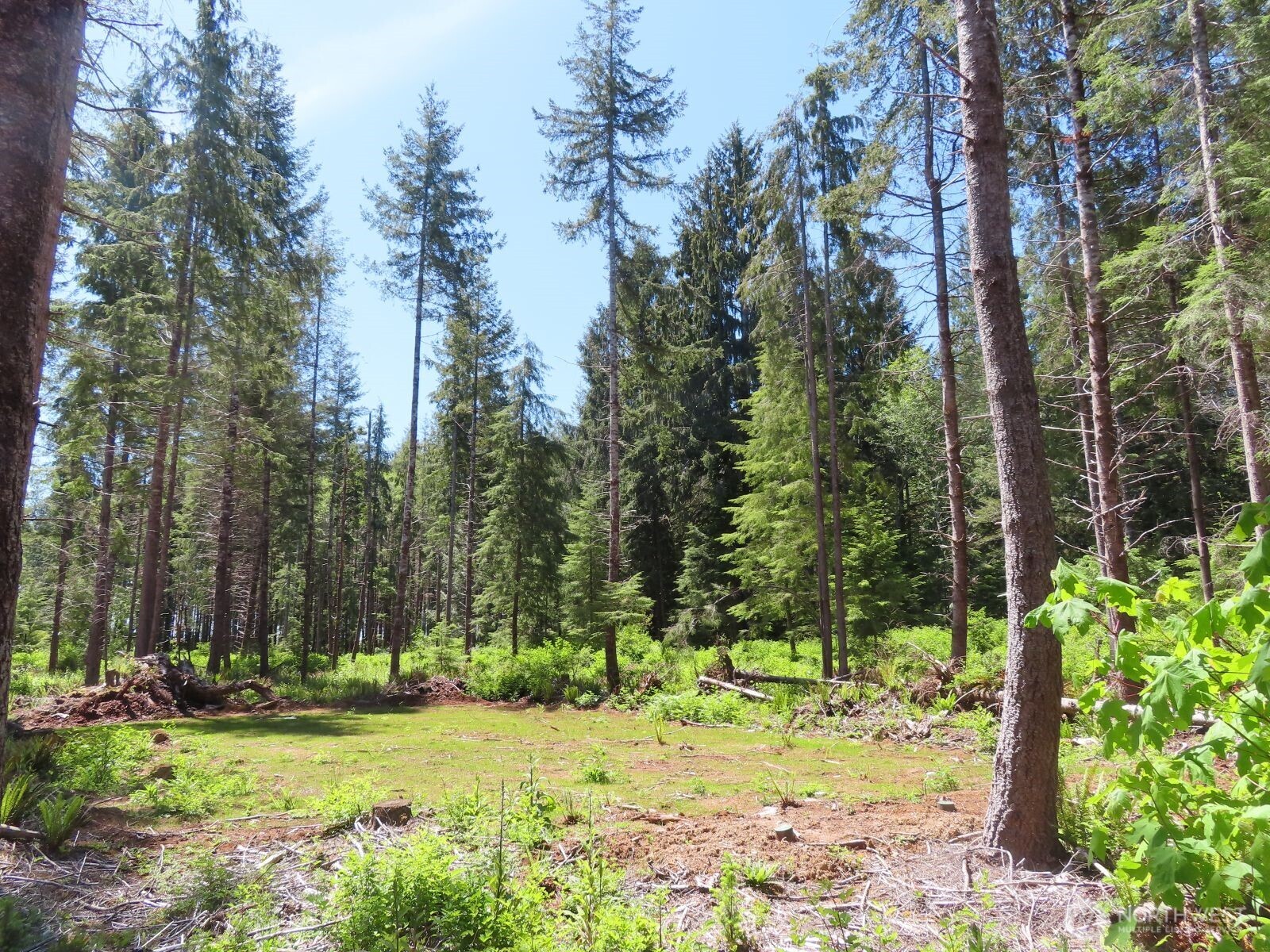 1515 Kirkpatrick Road Property Photo 12