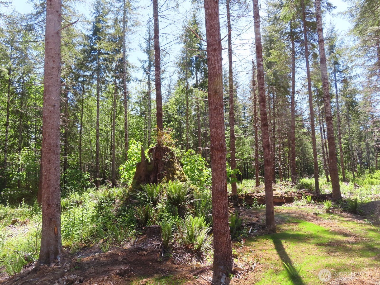 1515 Kirkpatrick Road Property Photo 21