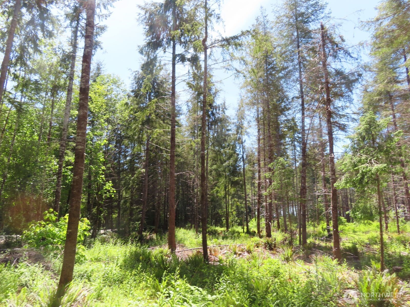 1515 Kirkpatrick Road Property Photo 22