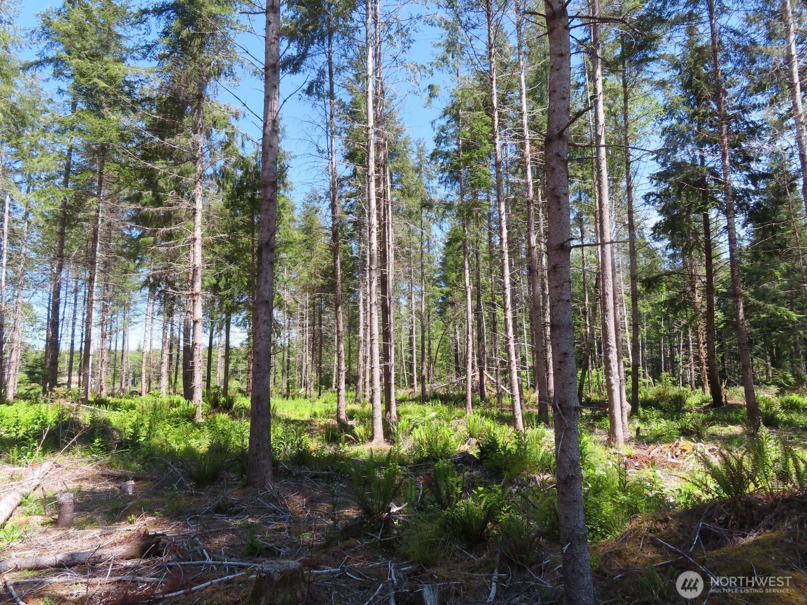 1515 Kirkpatrick Road Property Photo 25