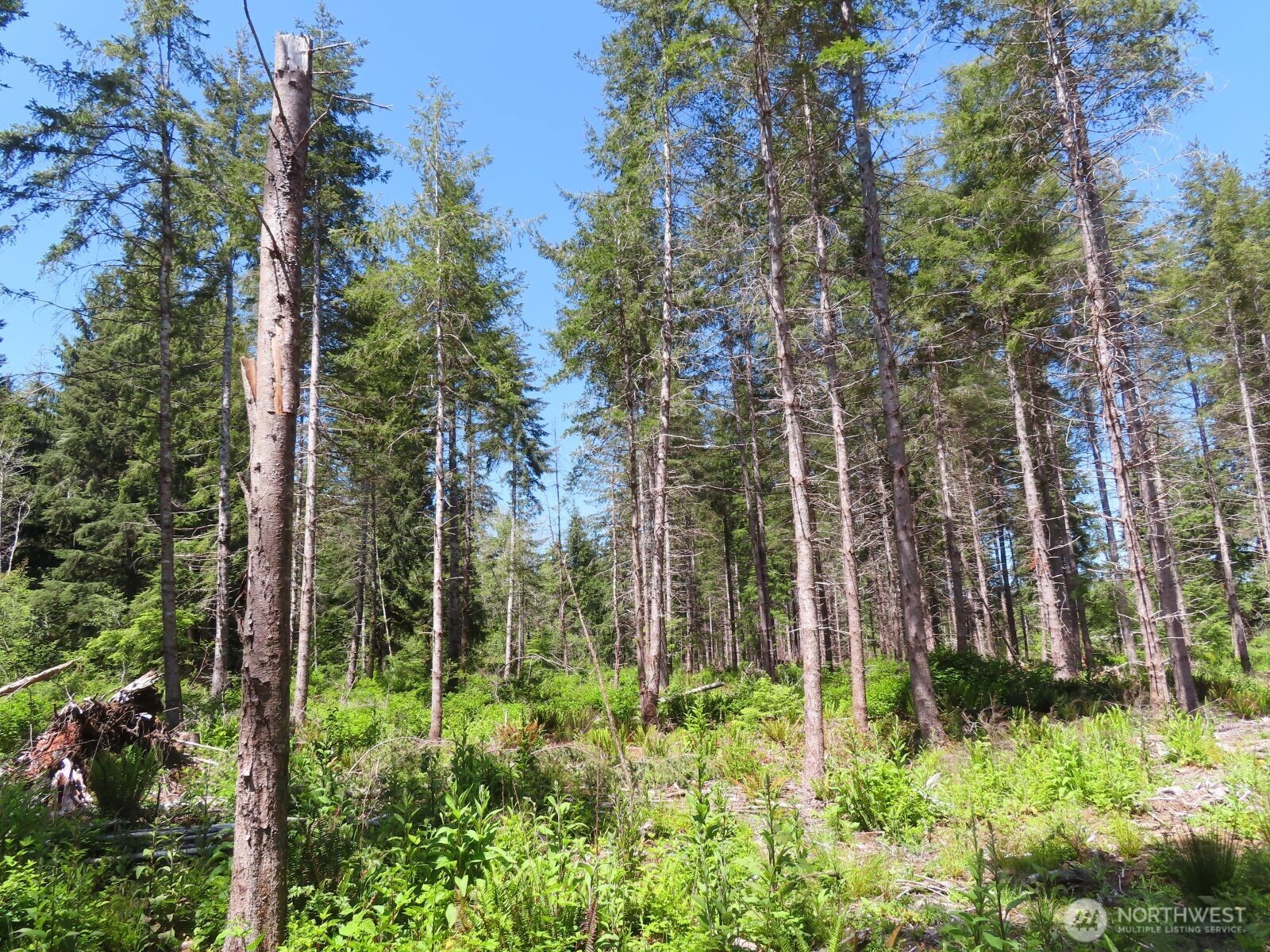 1515 Kirkpatrick Road Property Photo 27