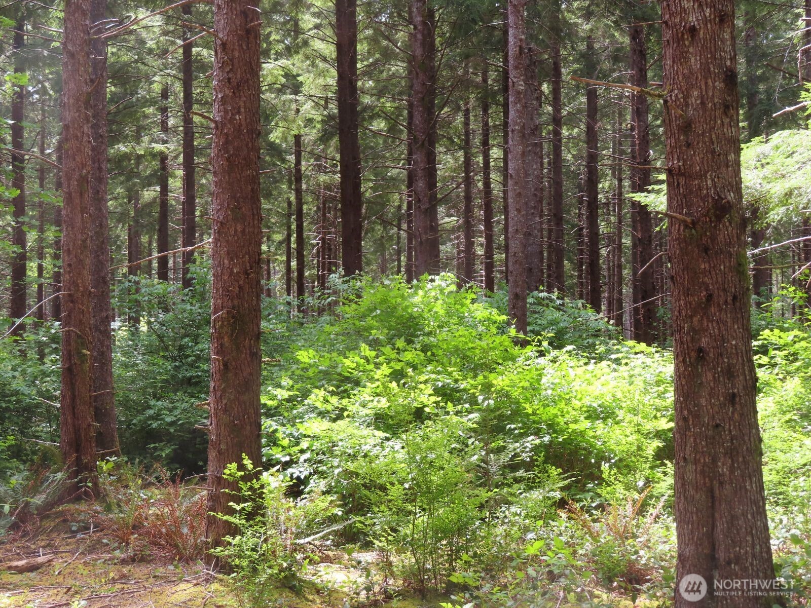 1515 Kirkpatrick Road Property Photo 28